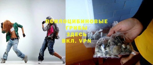 соль ск Арсеньев